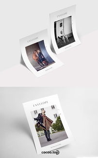 版式设计、图文组合与软件开发 跨领域的视觉传达艺术